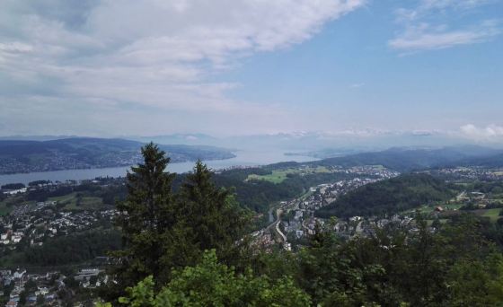 View of Zürich city, lake and Alps from Felsenegg, Switzerland